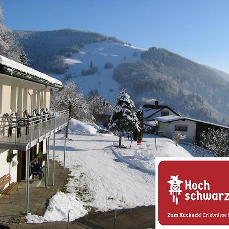 Steiert Panorama Apartments トートナウ エクステリア 写真