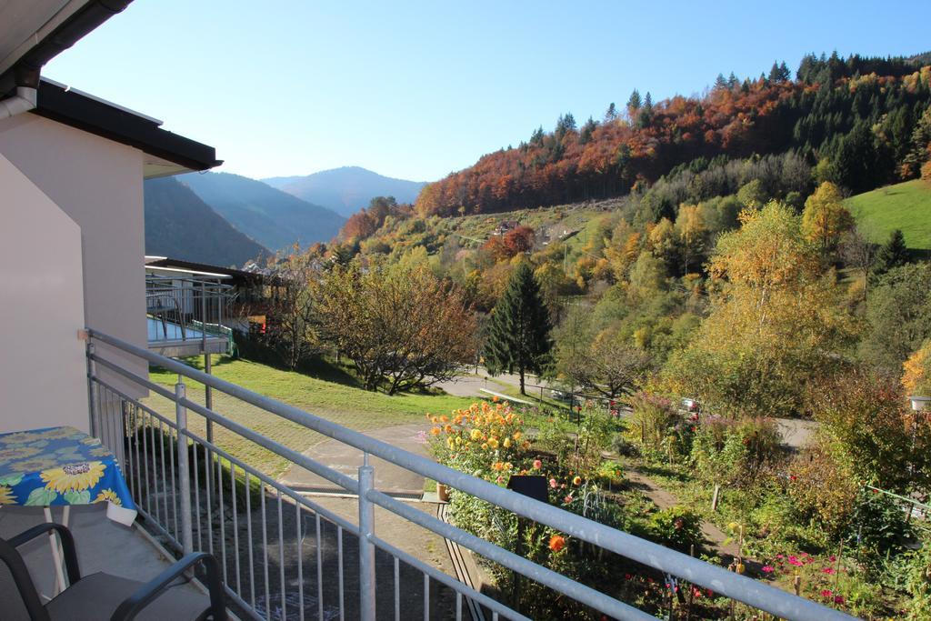 Steiert Panorama Apartments トートナウ エクステリア 写真