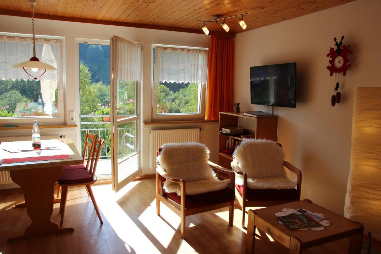 Steiert Panorama Apartments トートナウ エクステリア 写真